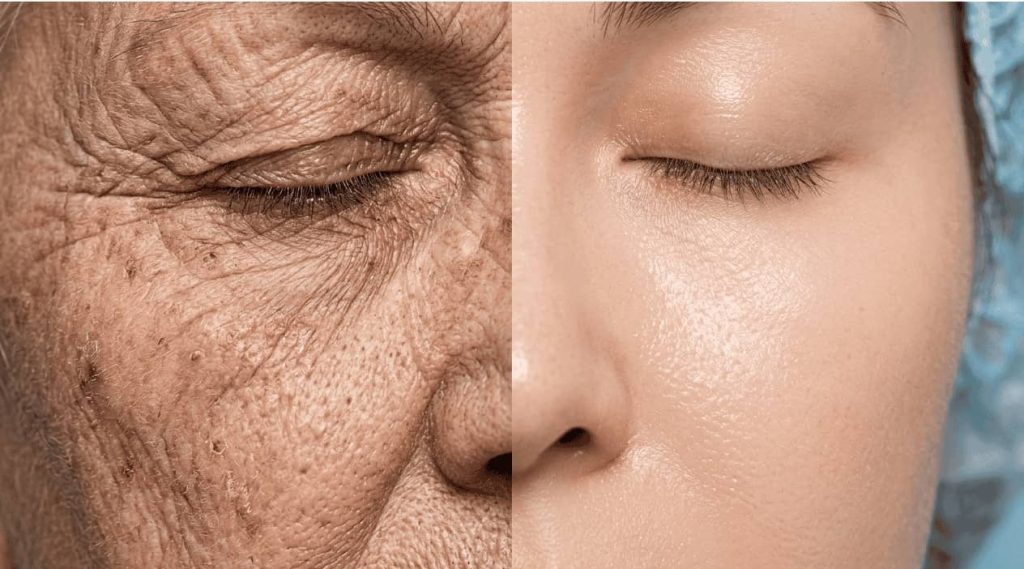 Exosomes for Face: The Complete Guide to Next-Generation Skin Rejuvenation